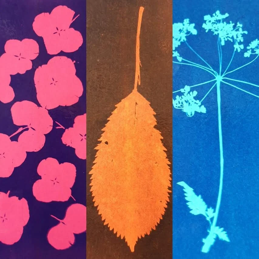 Cyanotype in colour – prints on paper