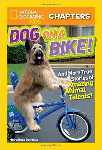 dogbike.jpg