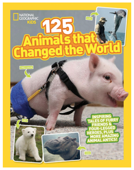 125 cover.png