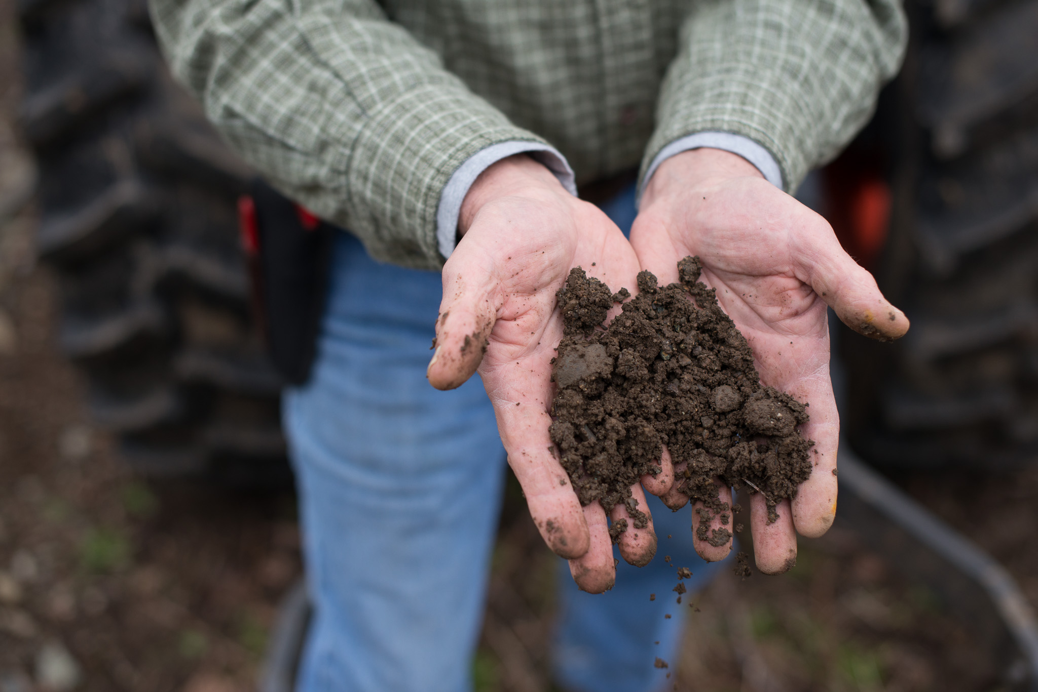 The Soil of Mt Prevost, Cowichan Valley