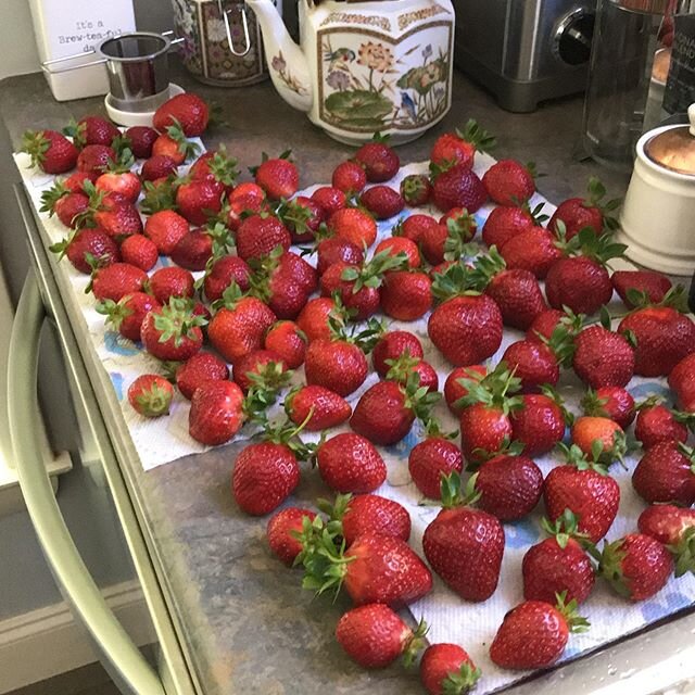 So delicious 🍓👍#bleupansy #riverviewstation #svfal