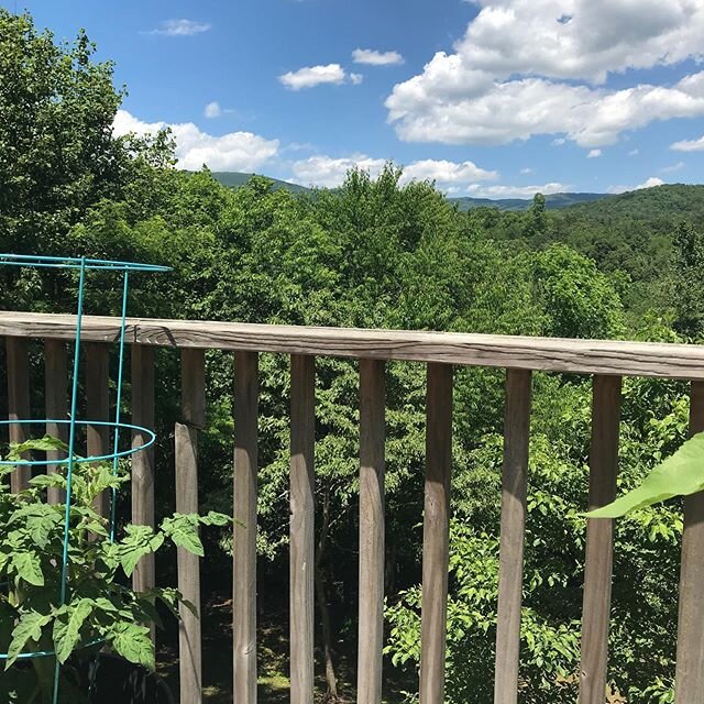 Awww beautiful view from our deck (upper)🥰❤️🥰#iloveasheville #bleupansy
