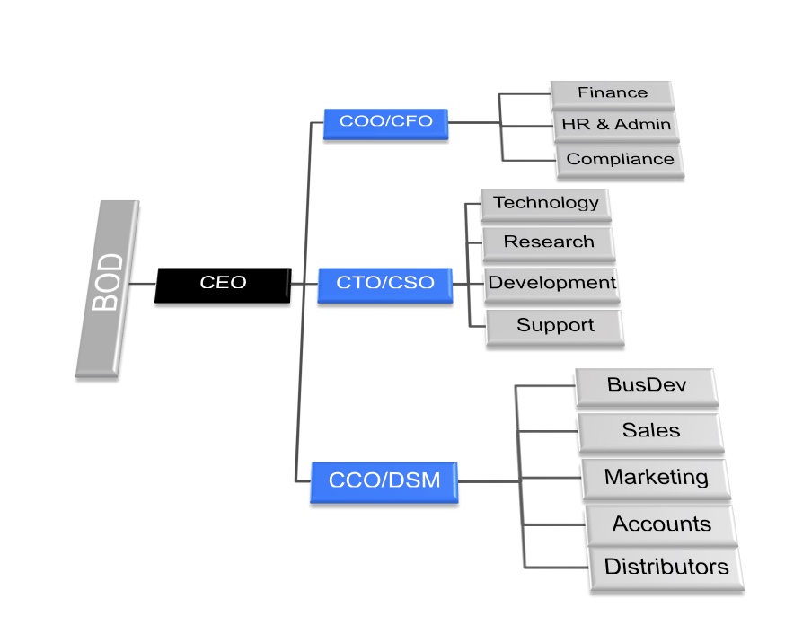 C-Level-Structure-Sample.jpeg