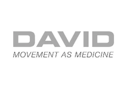 Grey DAVID Logo.jpg