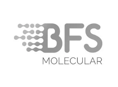 Grey BFS2 logo.jpg