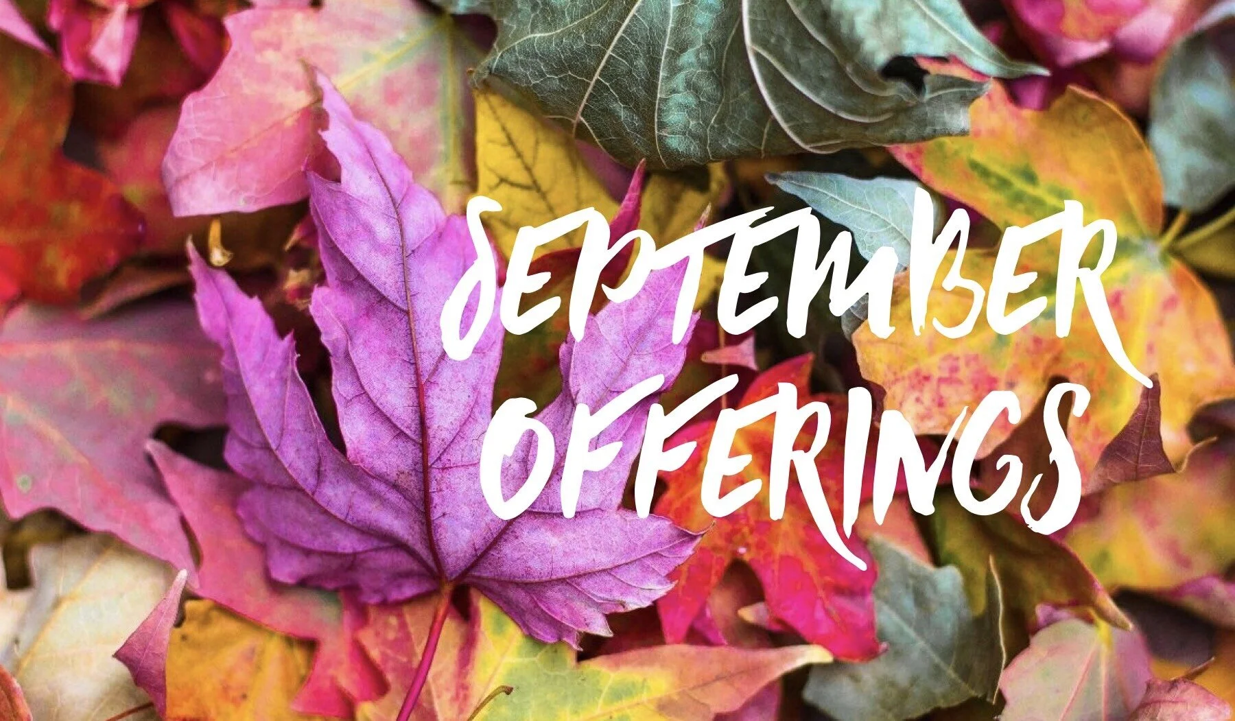 September Classes &amp; Lessons!