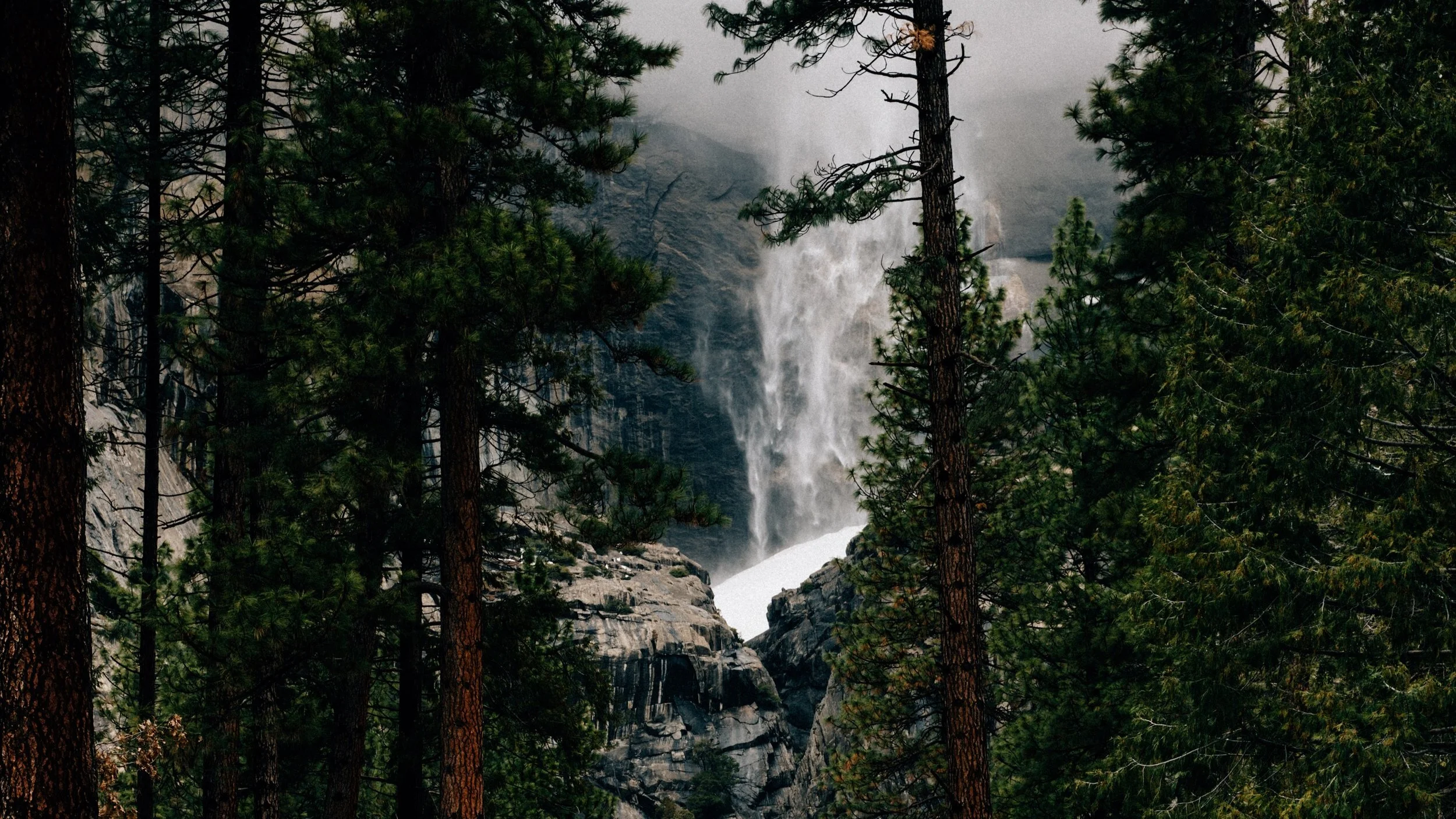 What Does it Mean to Heal Mind, Body, and Spirit?