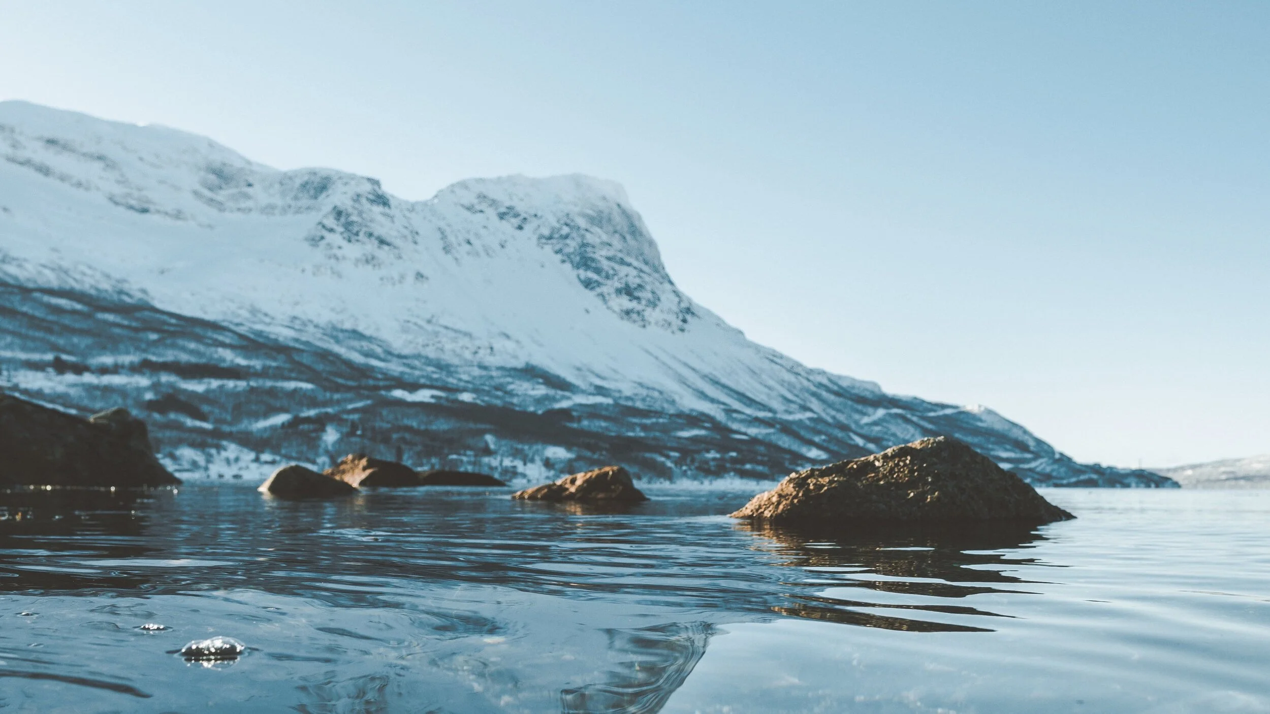 Focusing On Emotions