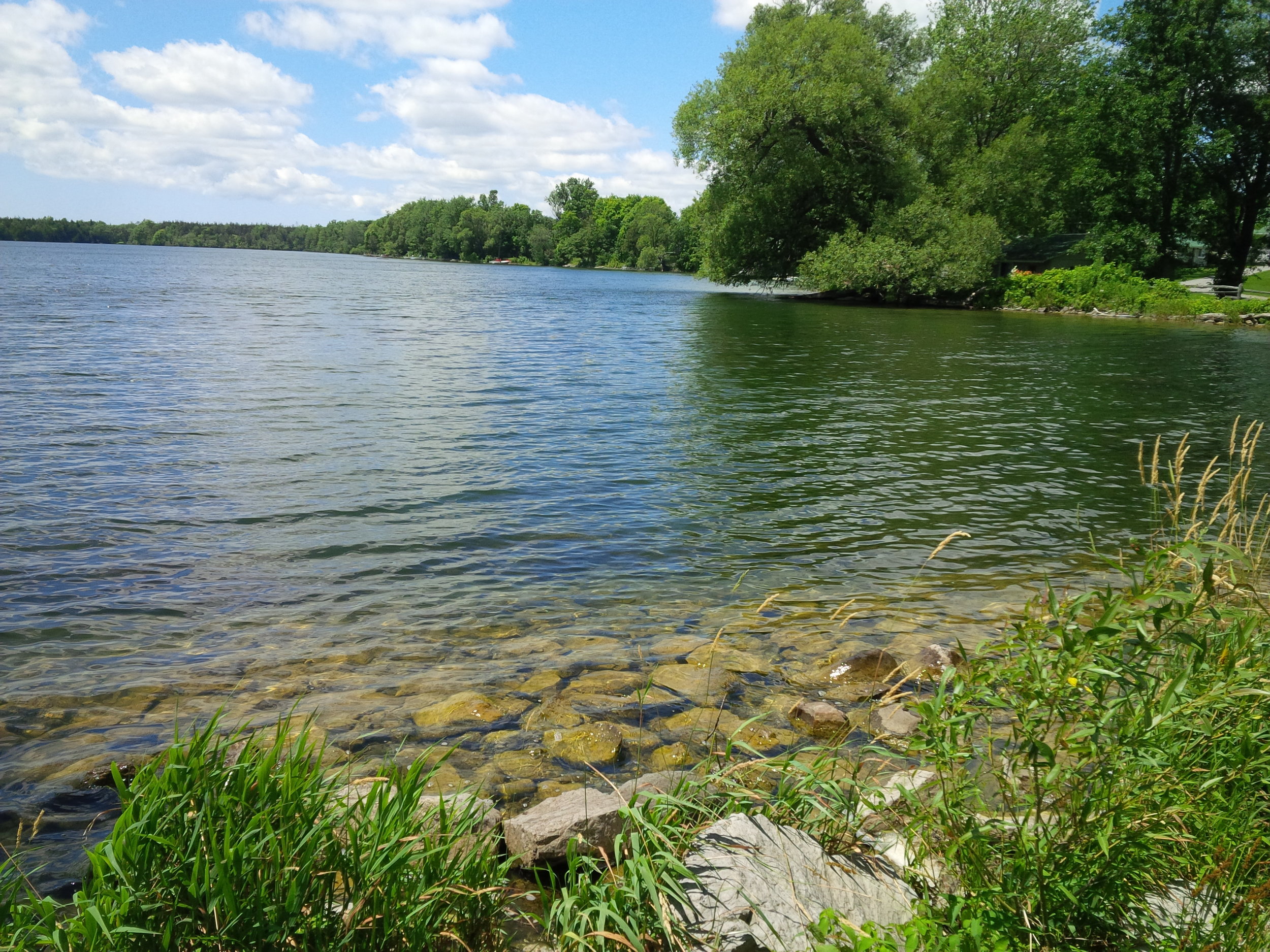 lake-michelle's cottage.jpg