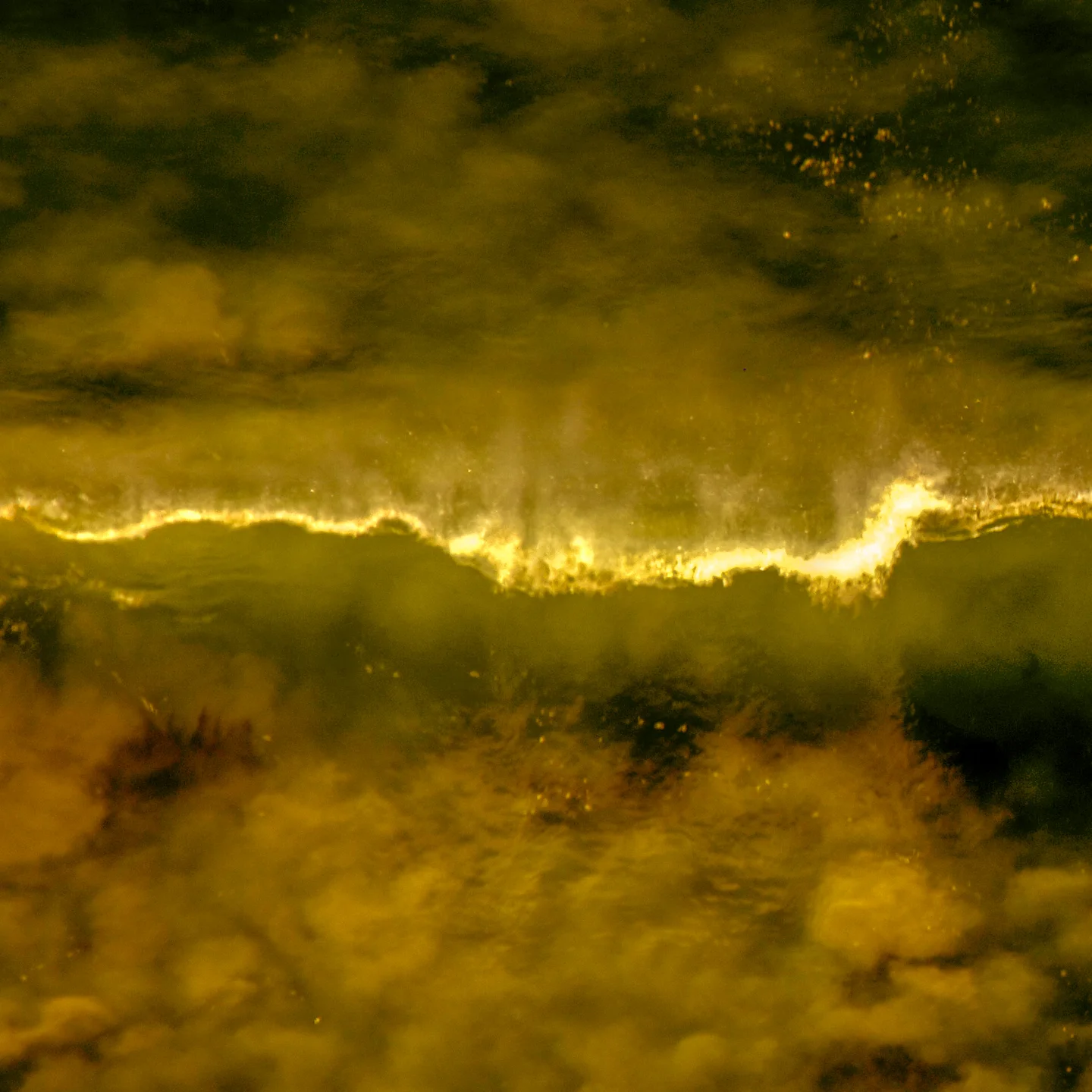 Wave 1 in Gold