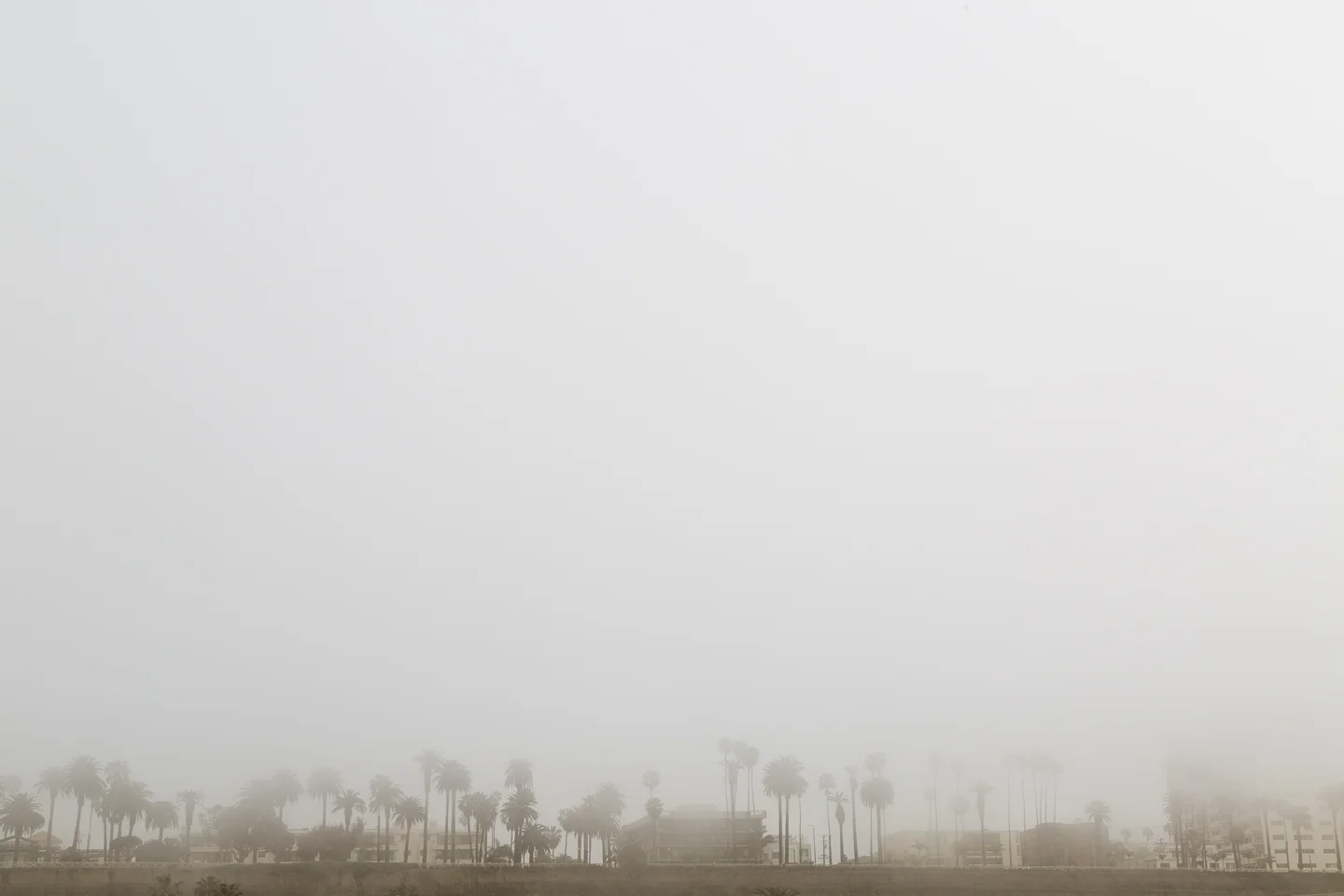 Palisades Pea Souper