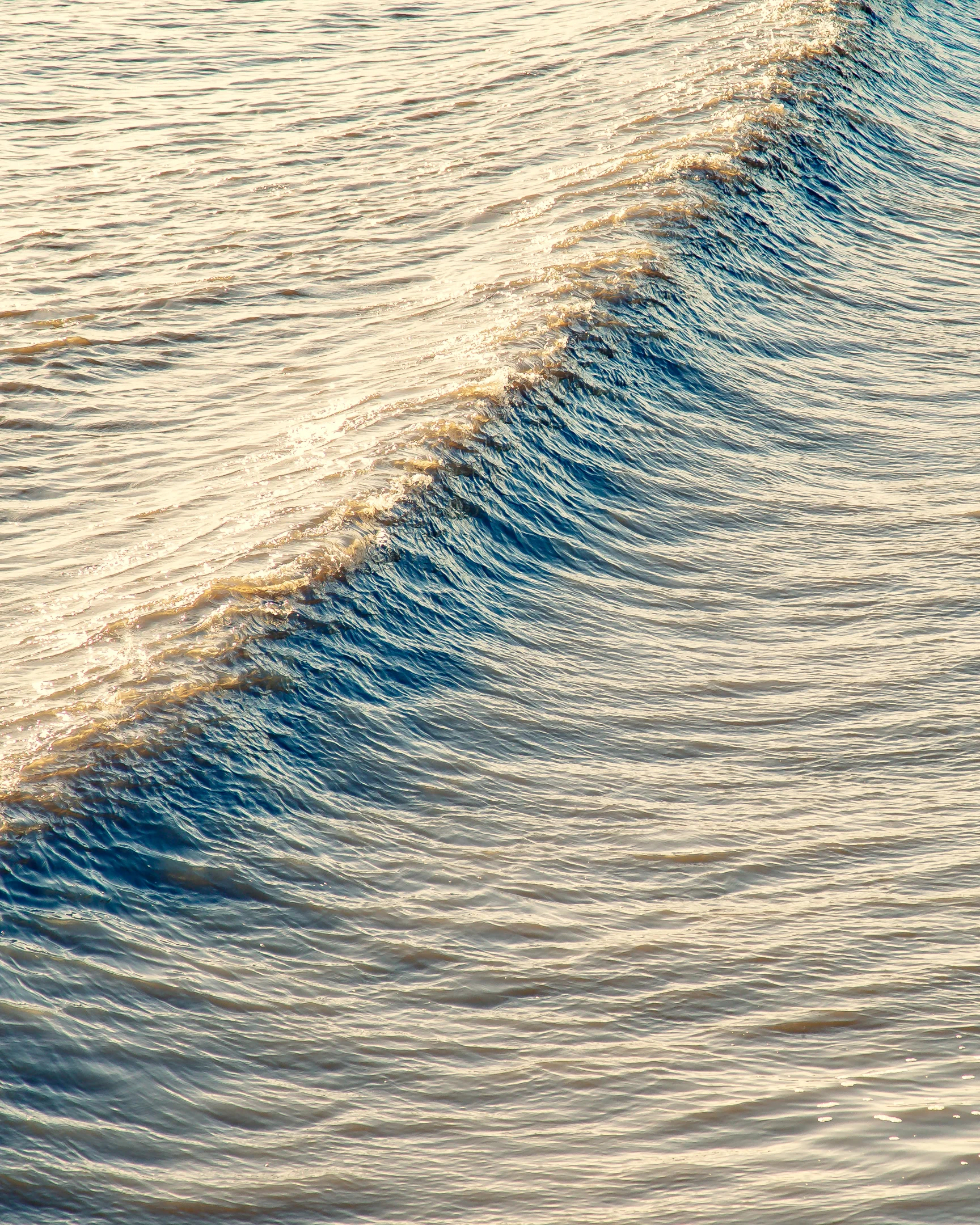 Wave of Oil pegs-8.jpg