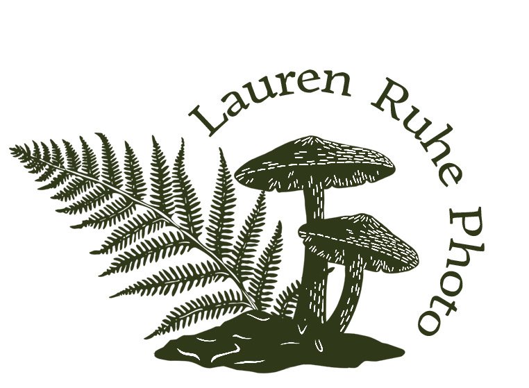 A logo for Lauren Ruhe Photo