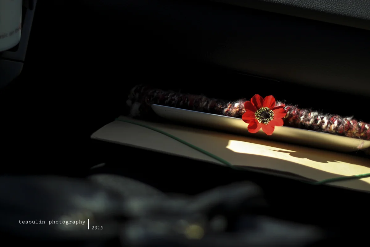 remember: a trip to Dimitsana