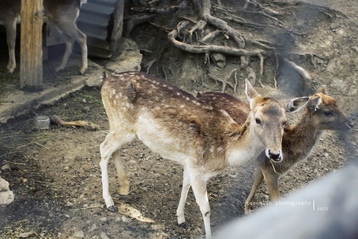 remember: away from the city