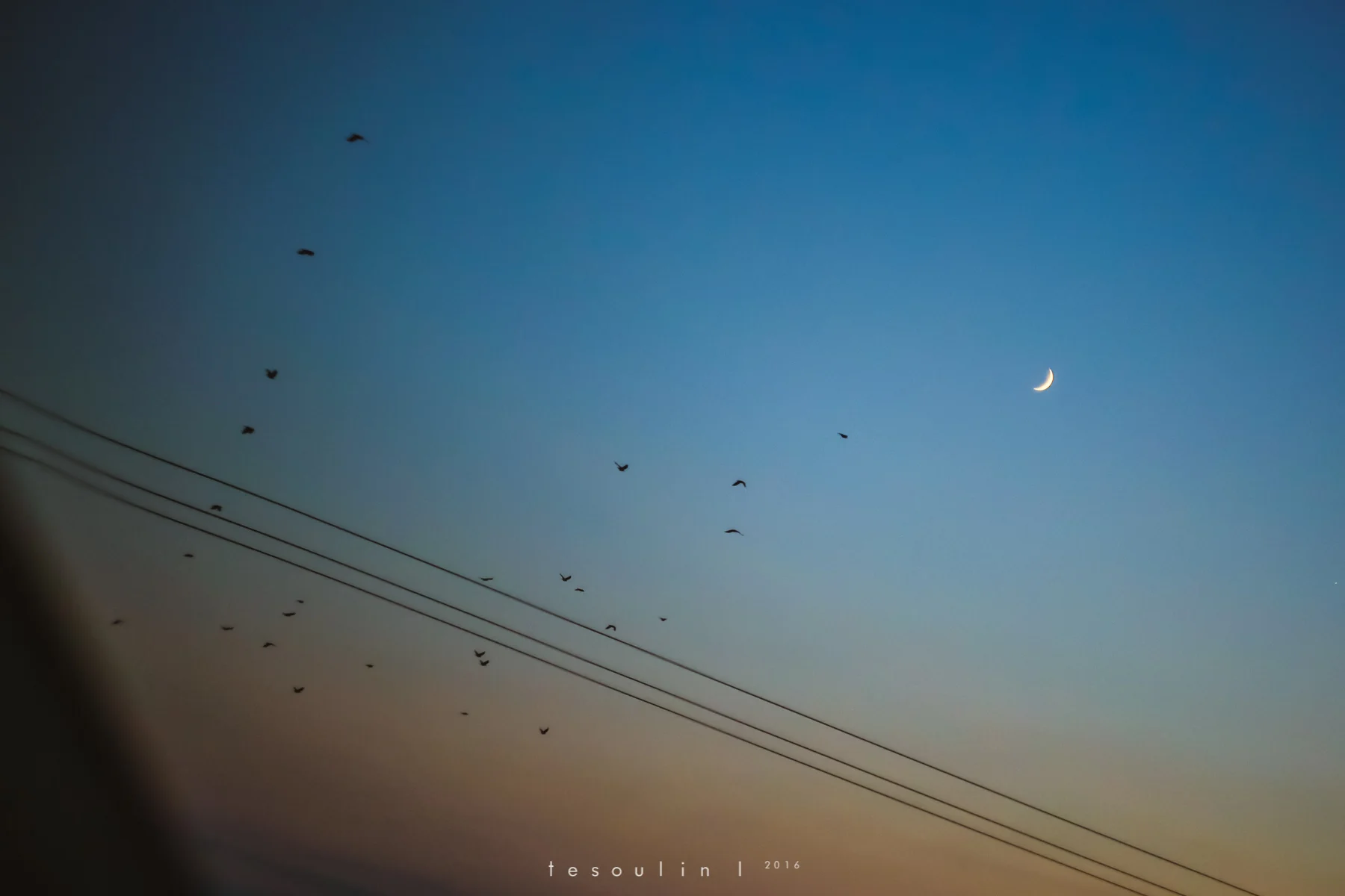 thrace - tesoulin -11