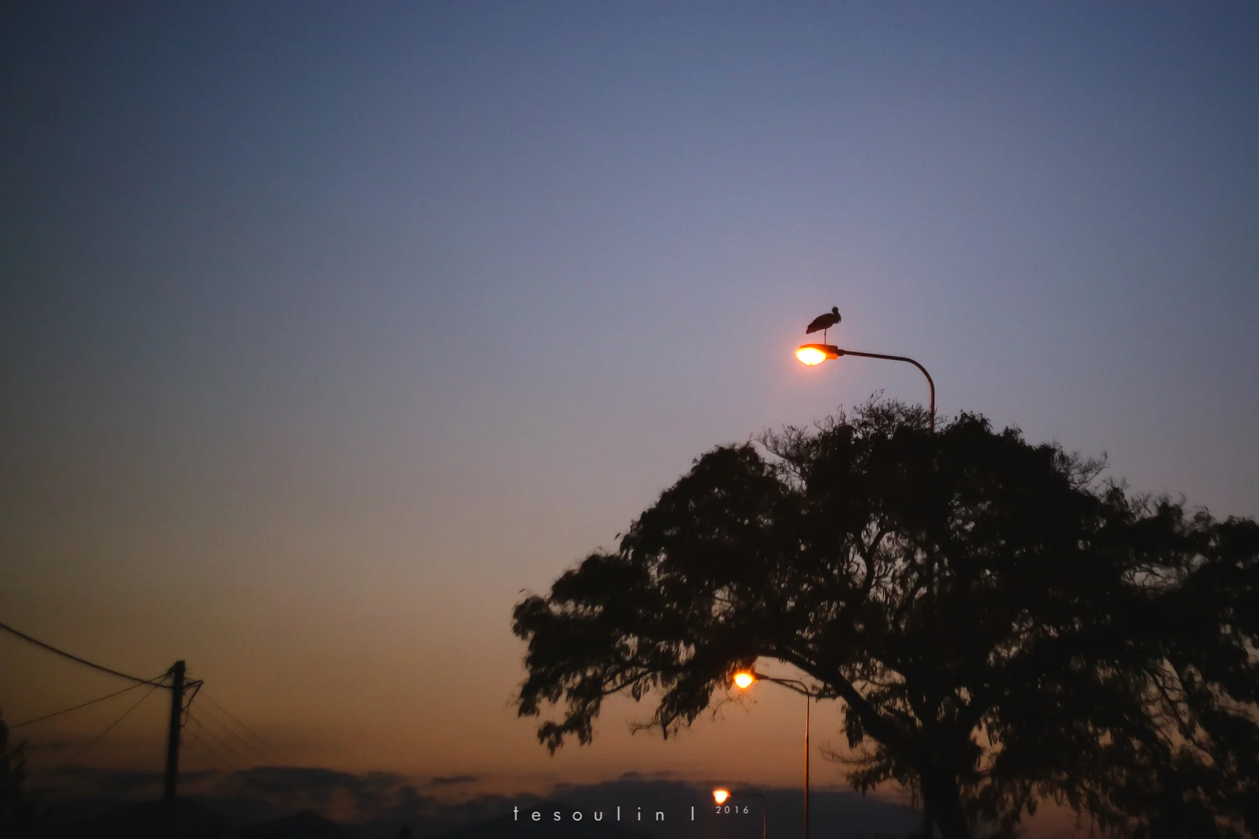 thrace - tesoulin -13