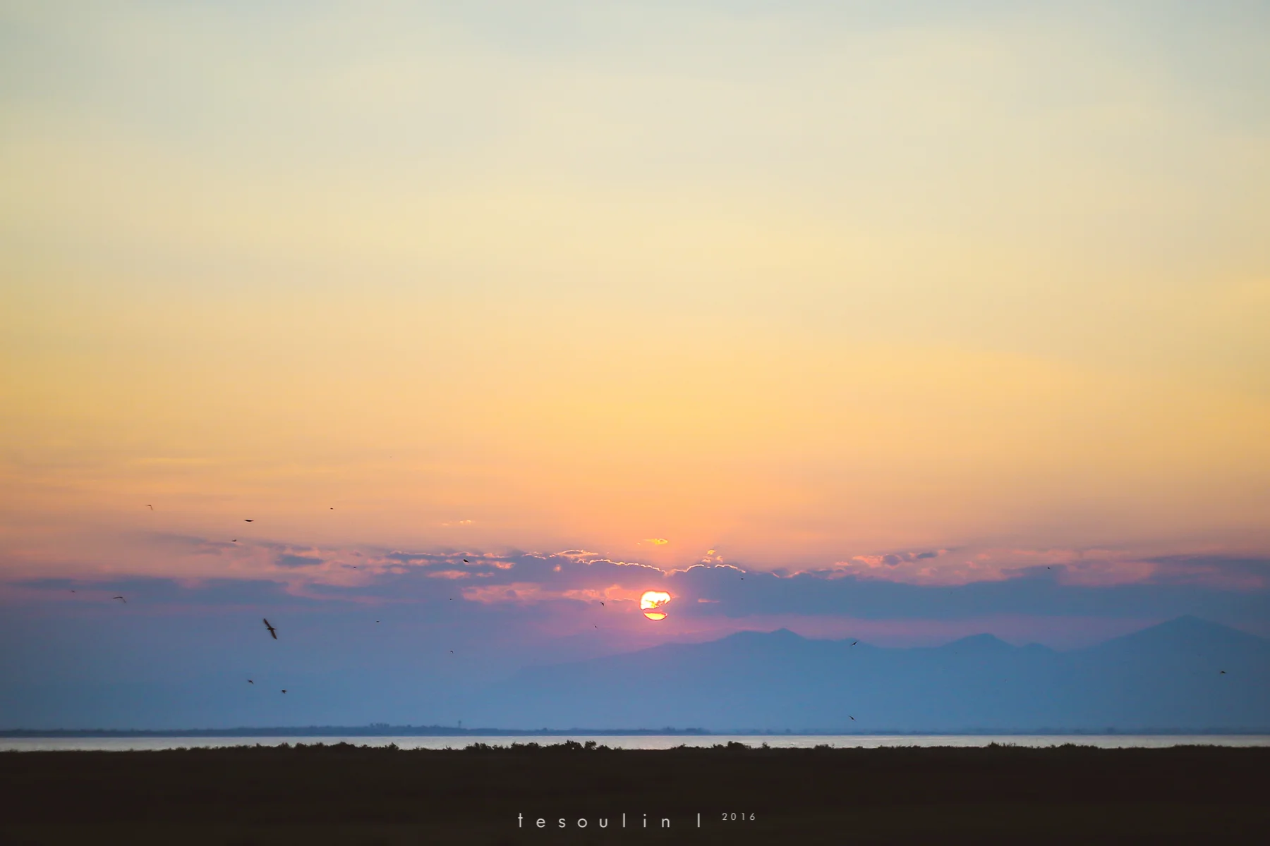 thrace - tesoulin -7