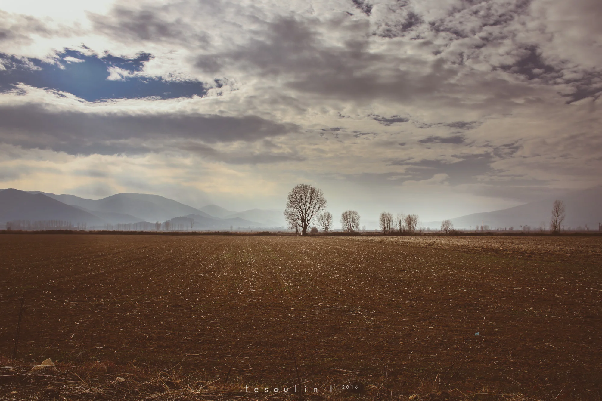 tesoulin_worked-nature-1