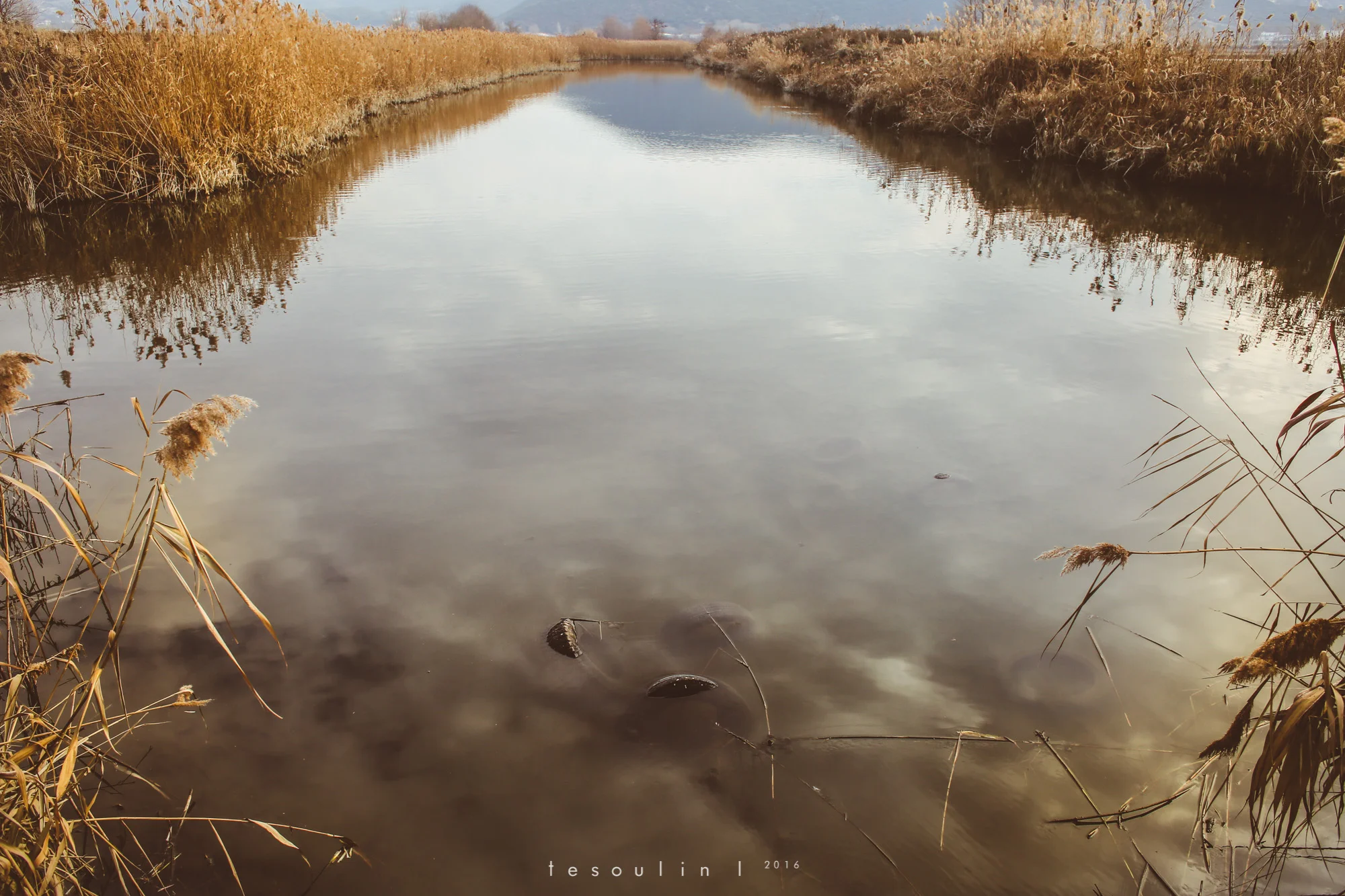 tesoulin_worked-nature-4