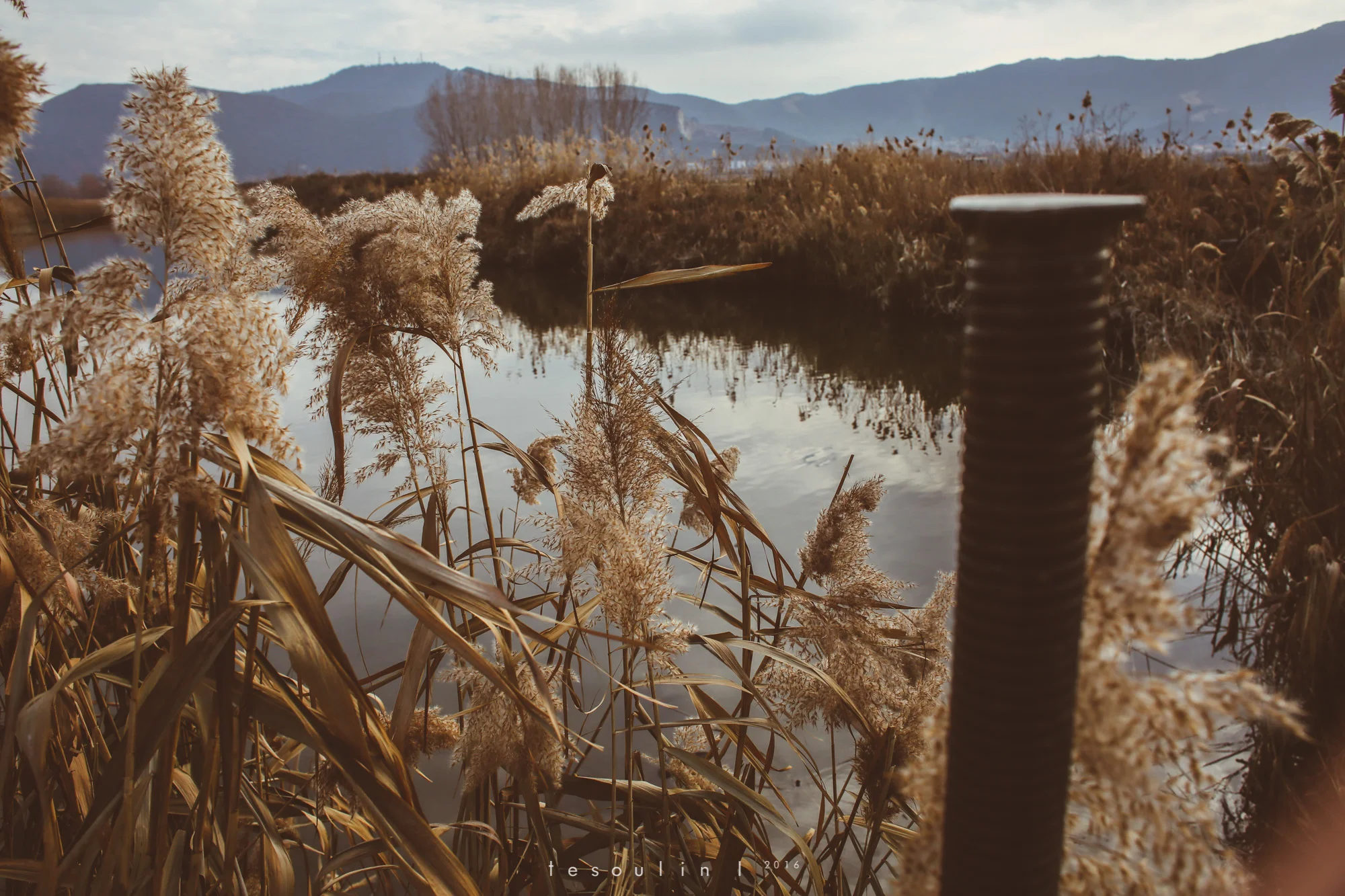 tesoulin_worked-nature-5