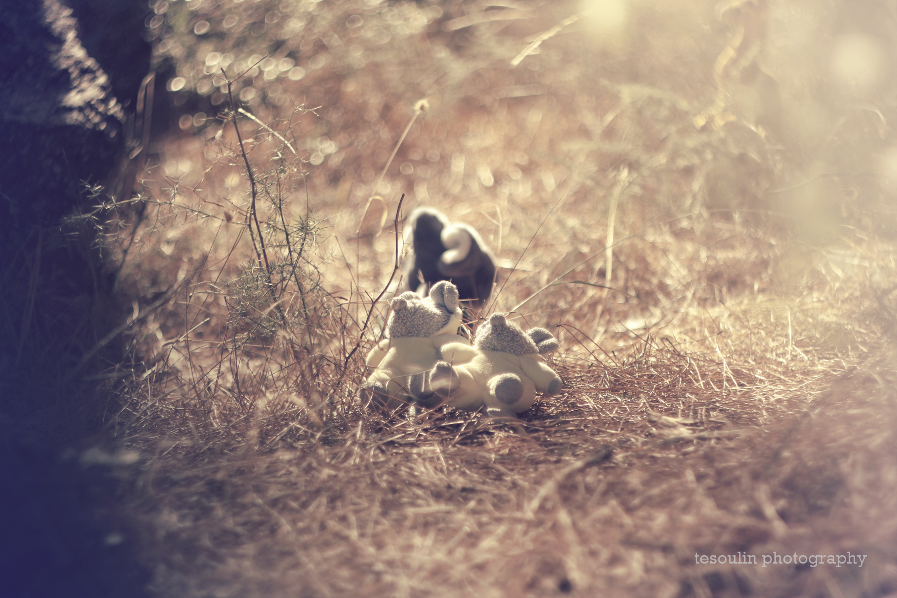 childhood-nostalgia_-2-tesoulin-photography.jpg