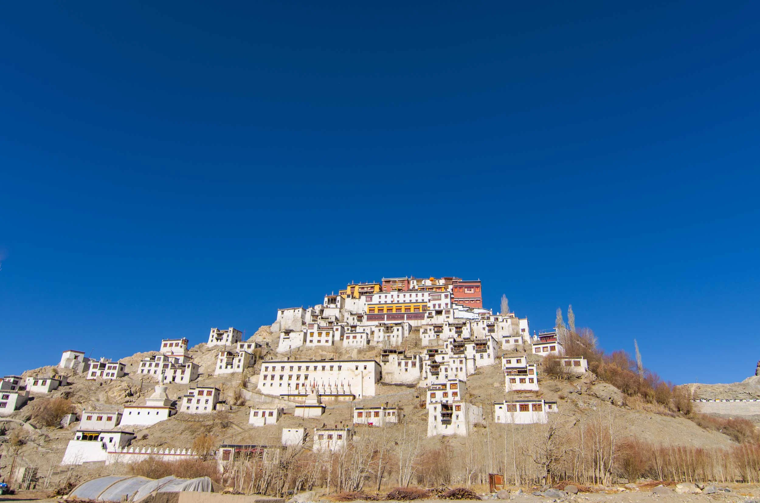 Thiksey Monastery