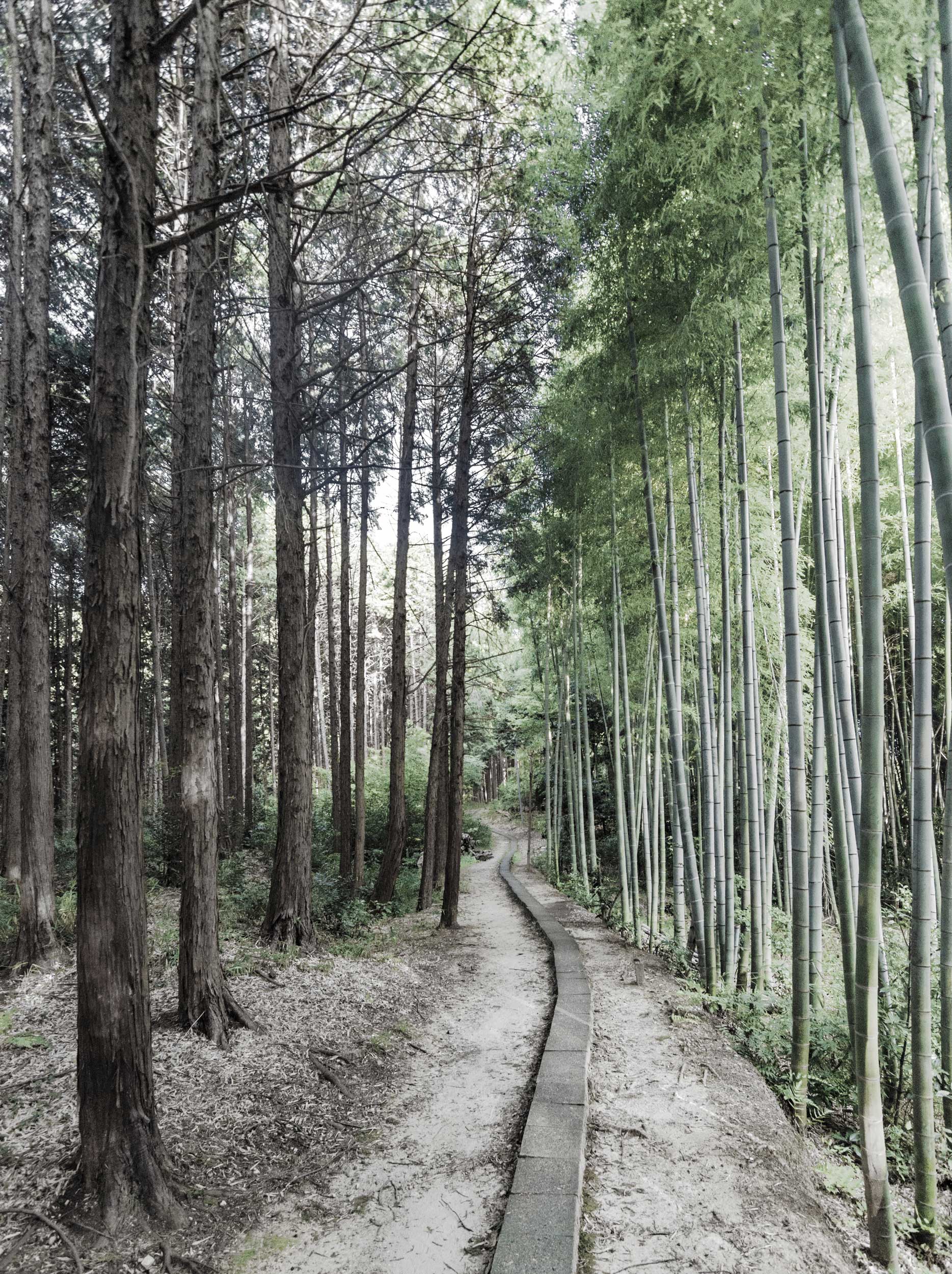 Two Woods