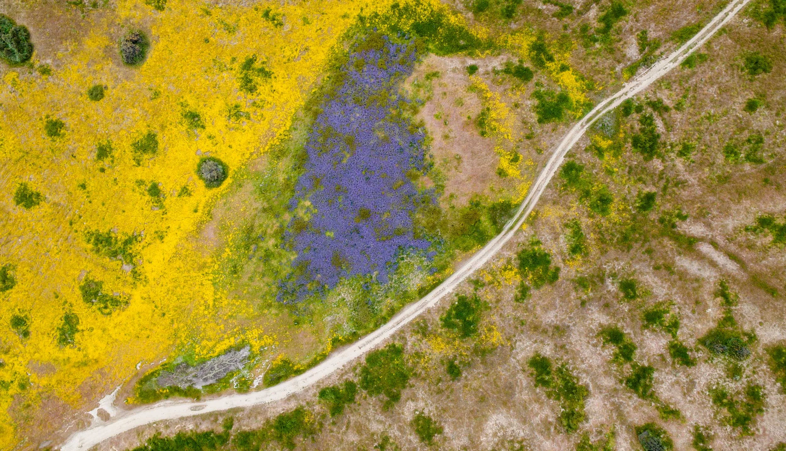 Topdown Technicolor.