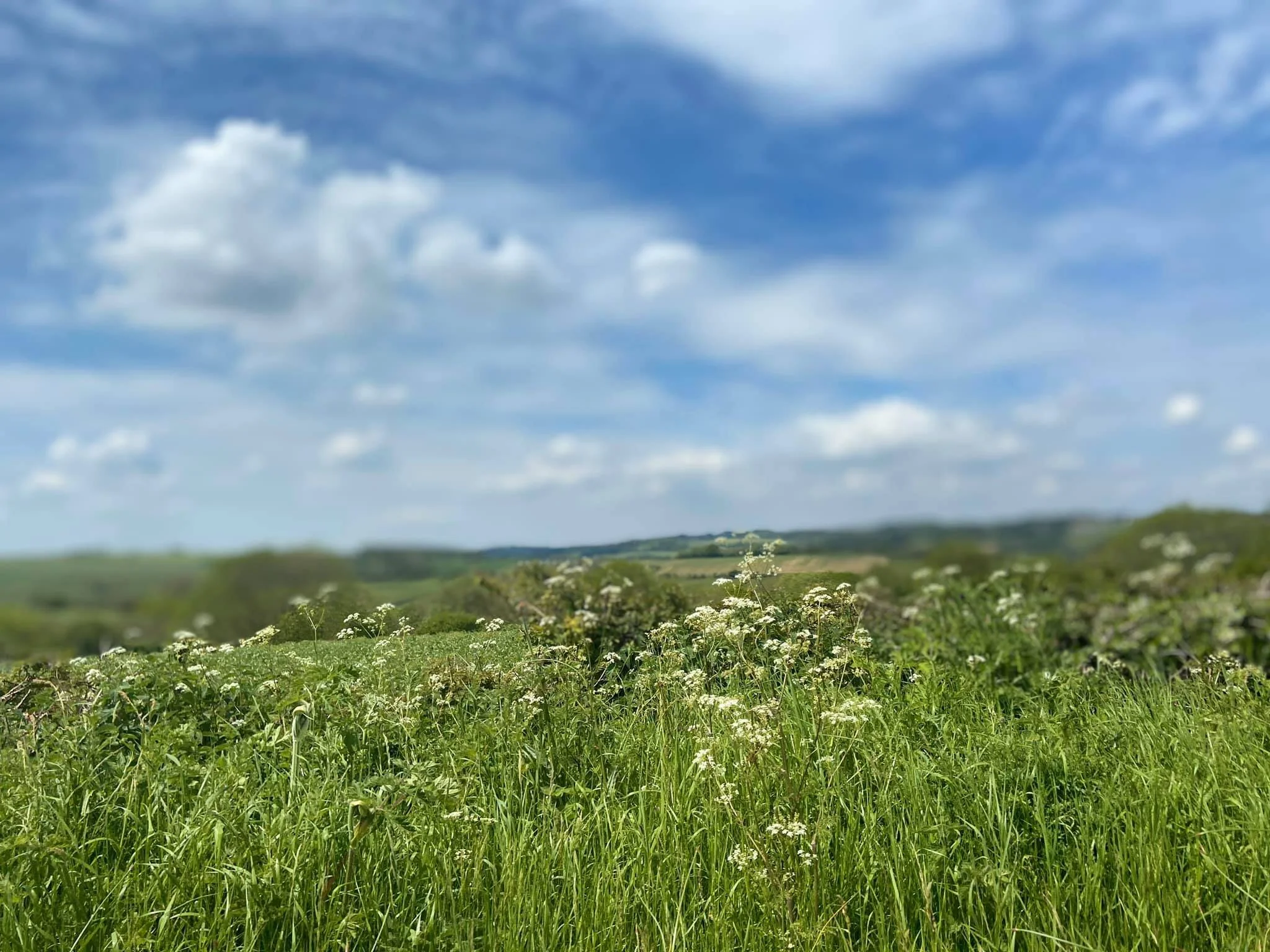 It’s my Birthday Weeeeek!