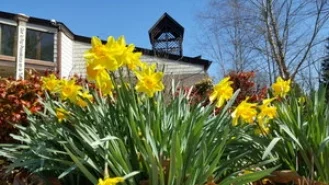 What's Happening March 25 - March 31