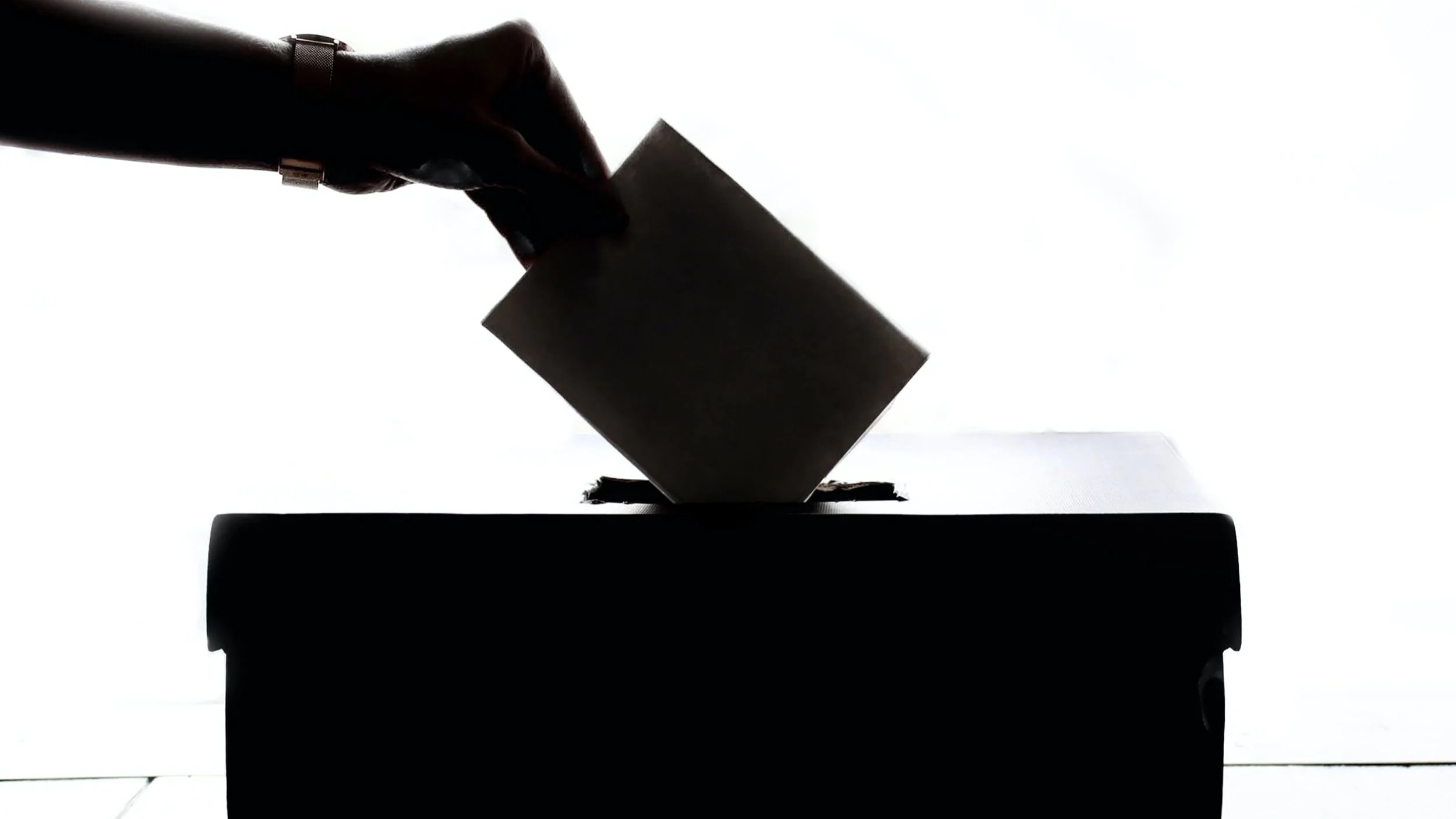 Democracy is Calling
