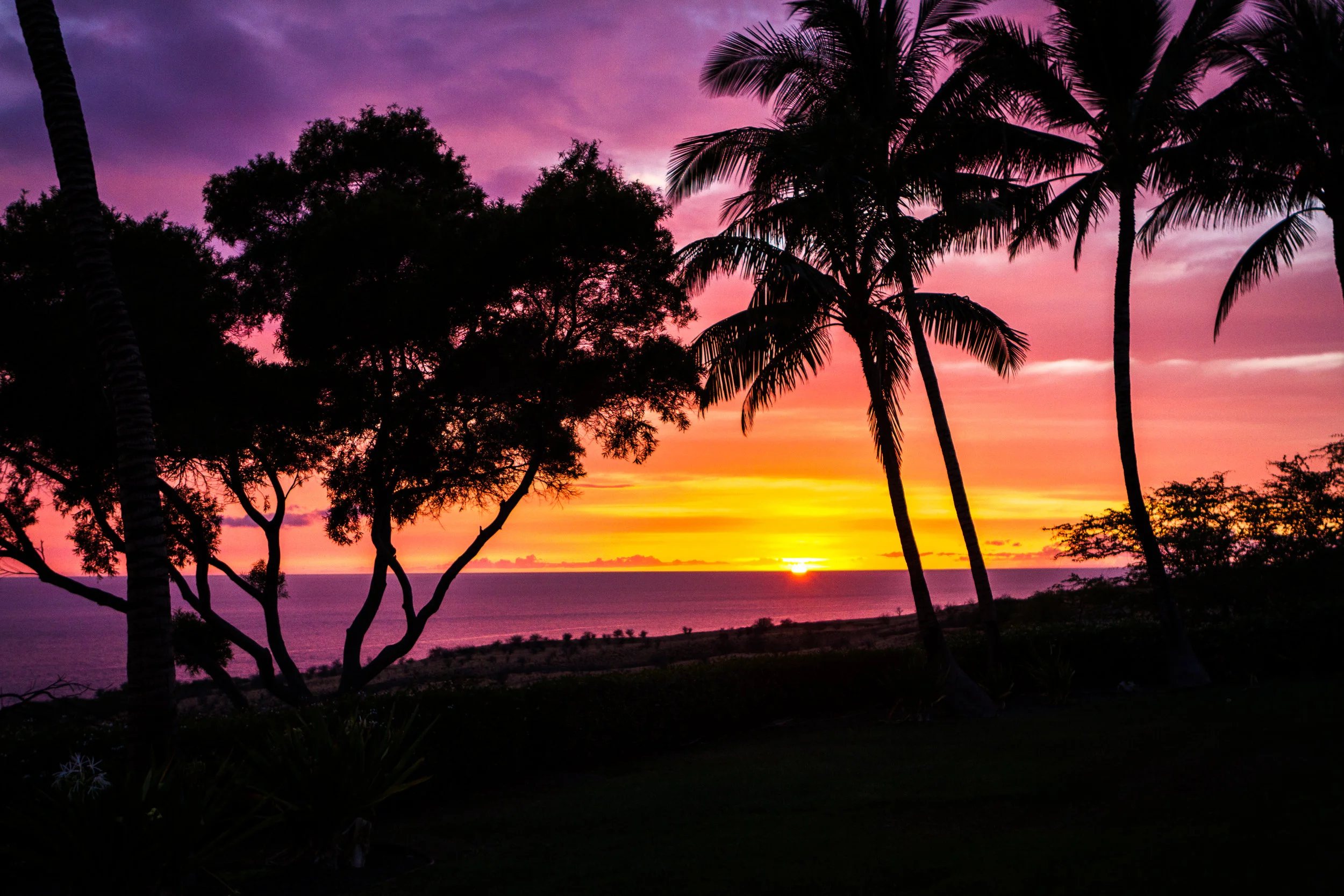 Sunset-3201.jpg