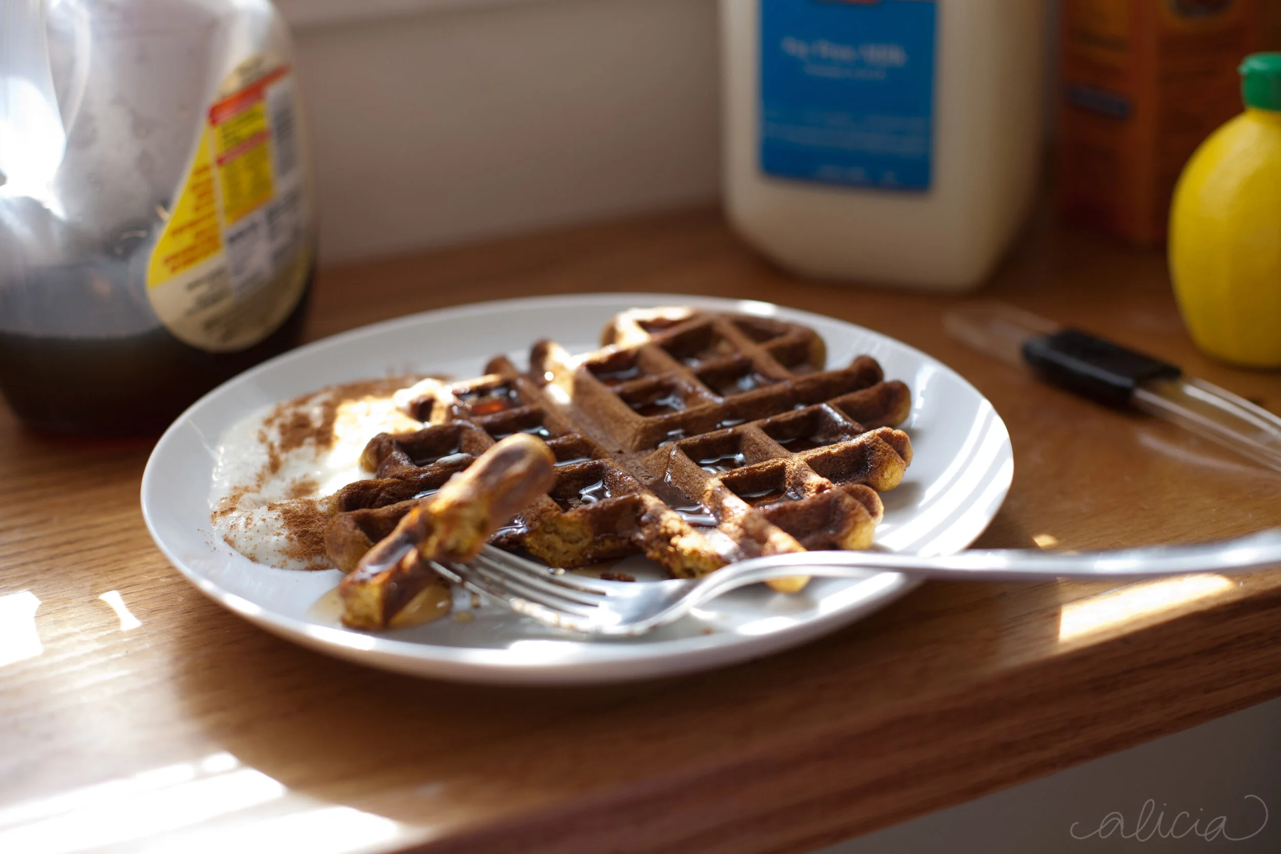 Sturdy Saturday - Pumpkin Waffles
