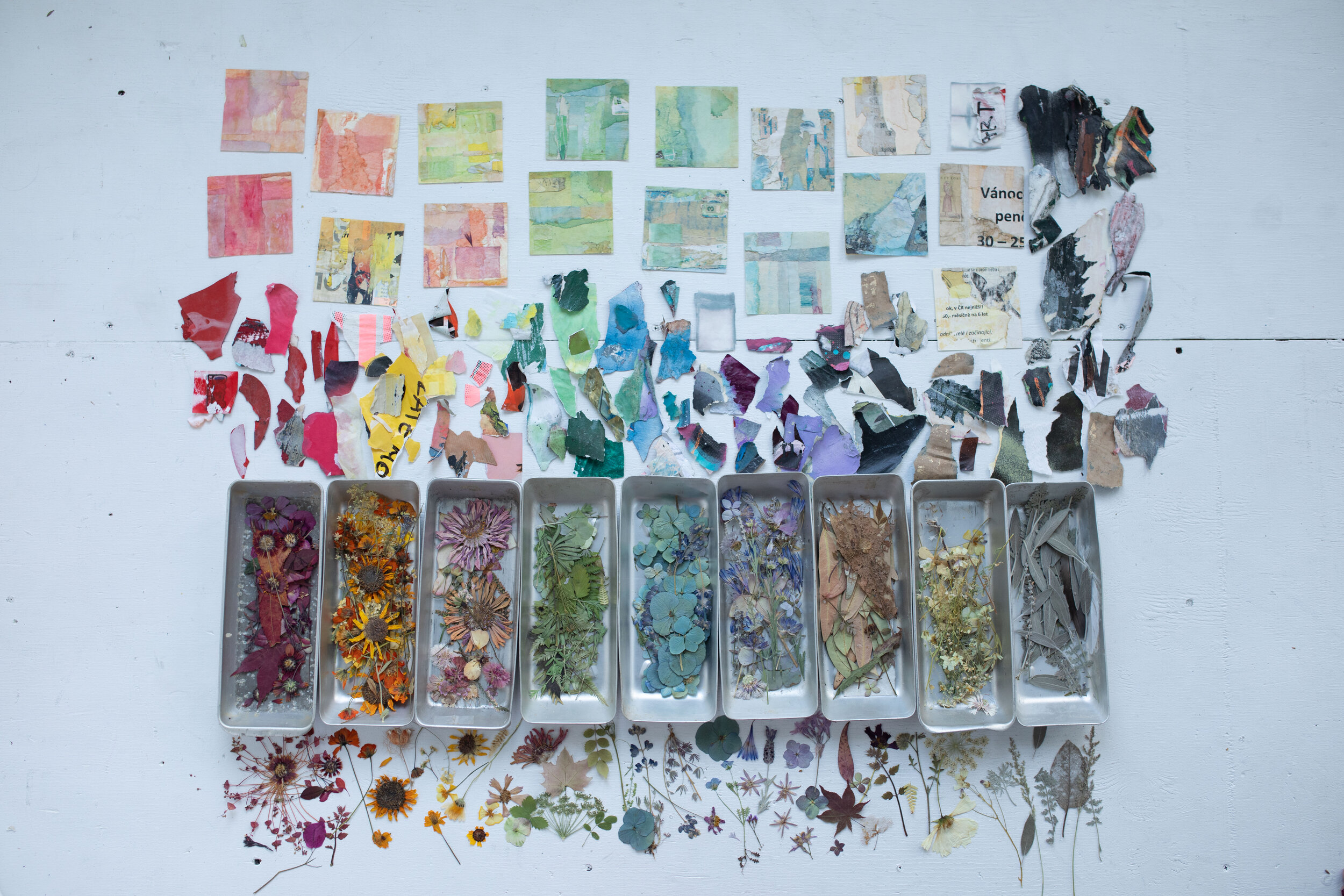Flower Press Kit – Hedymade
