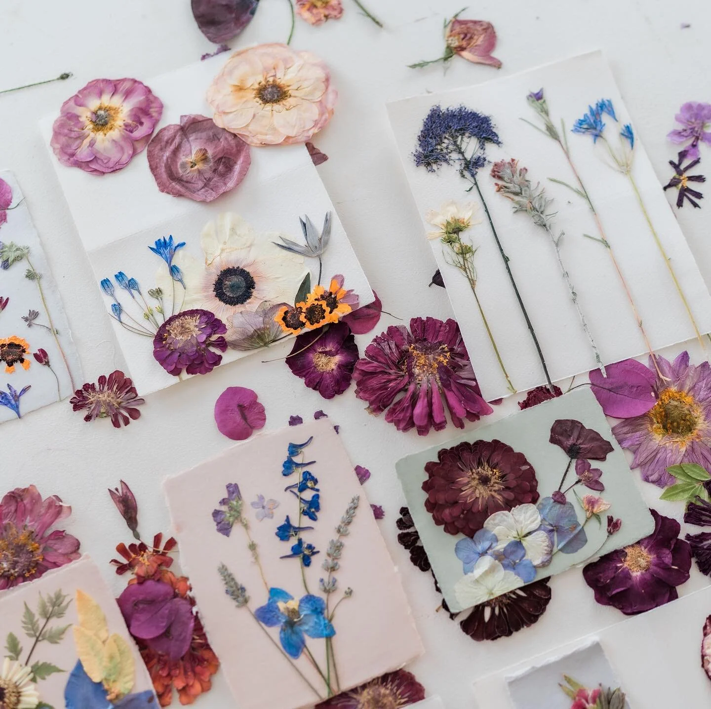 Some photos of the botanical card making section of our in person Malibu workshop w @delightfulbyrochelle and @thejoyfulartist . Handmade paper I bought from @elivrosenkranz and all the flowers I pressed in CA. #pressedflowers #pressedflowercards #pr