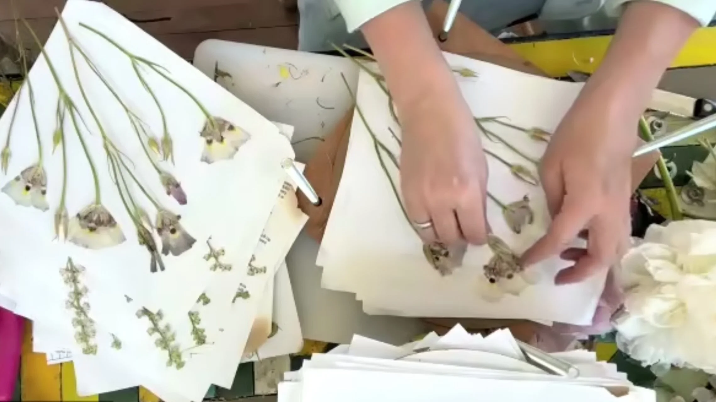 Videos/Tips | DIY Pressed Flowers Art | Flower Pressing Tutorials