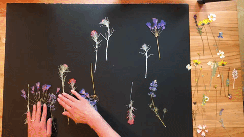 Tony Howell + Company GIF-downsized_large.gif