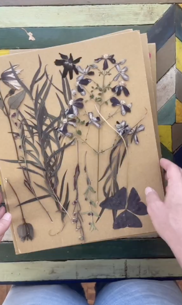 How to Store Pressed Flowers (My Simple Storage Method)