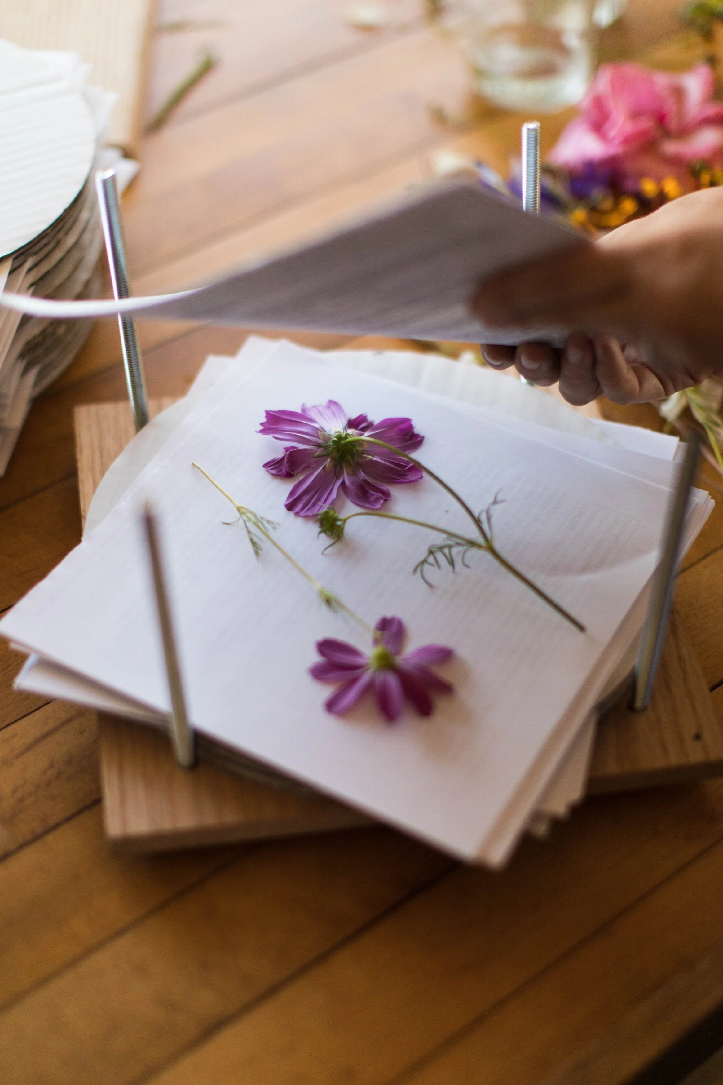 Videos/Tips DIY Pressed Flowers Art Flower Pressing Tutorials