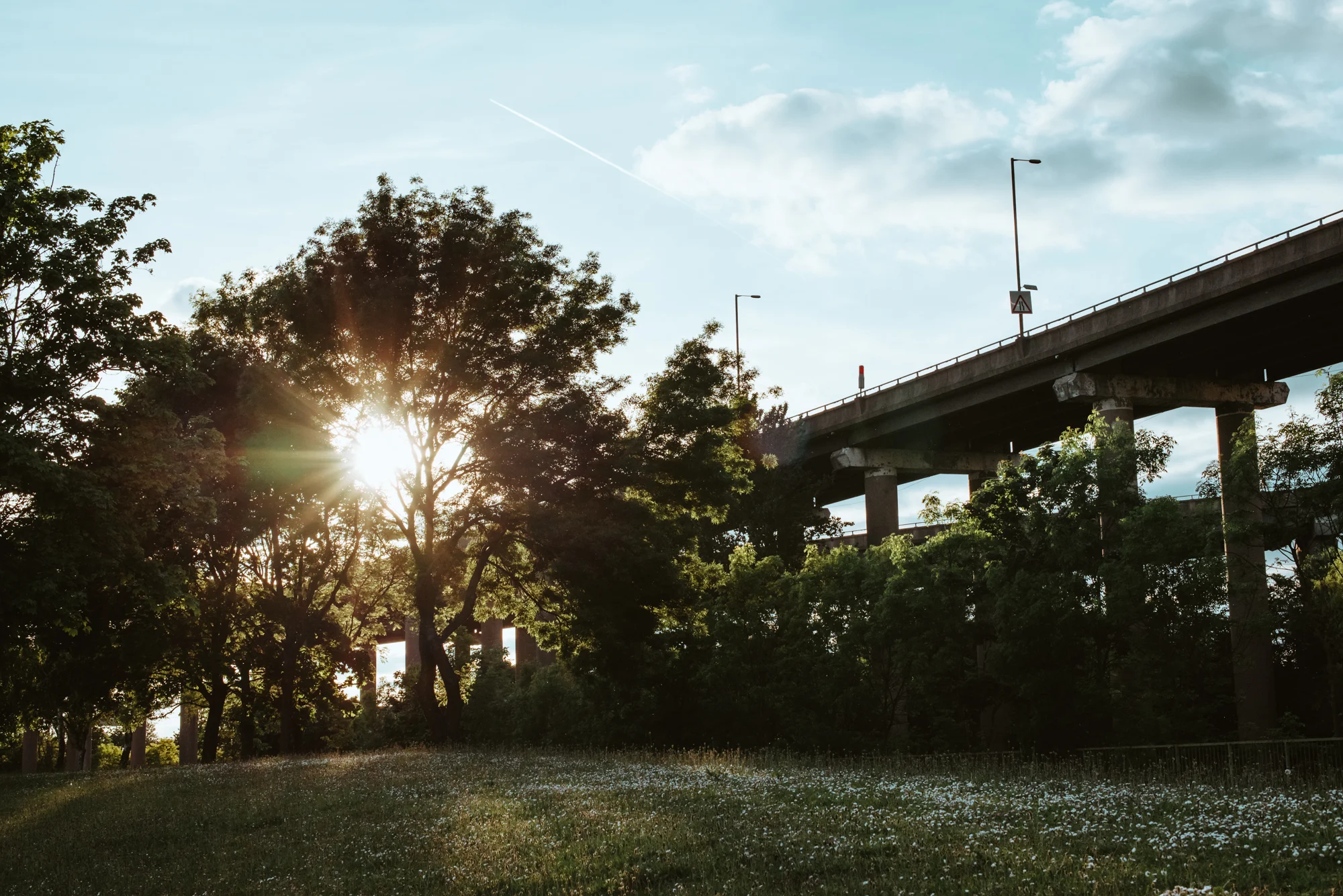 Spaghetti-Junction-45-years-old-Hanny-Foxhall-10.jpg