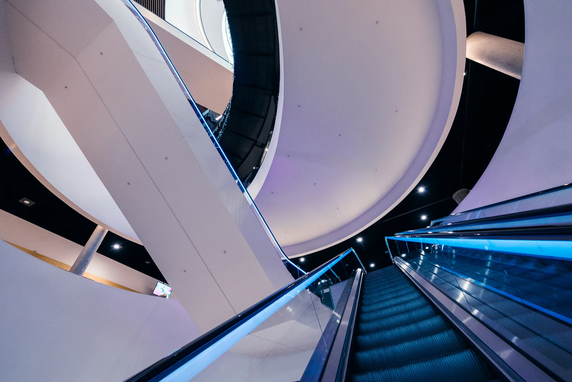 Library-Birmingham-20170829-0210-Hanny-Foxhall.jpg