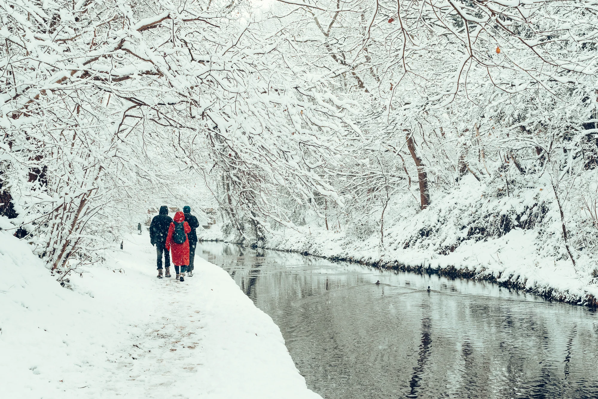 Birmingham-Snow-20171210-0106-Hanny-Foxhall.jpg