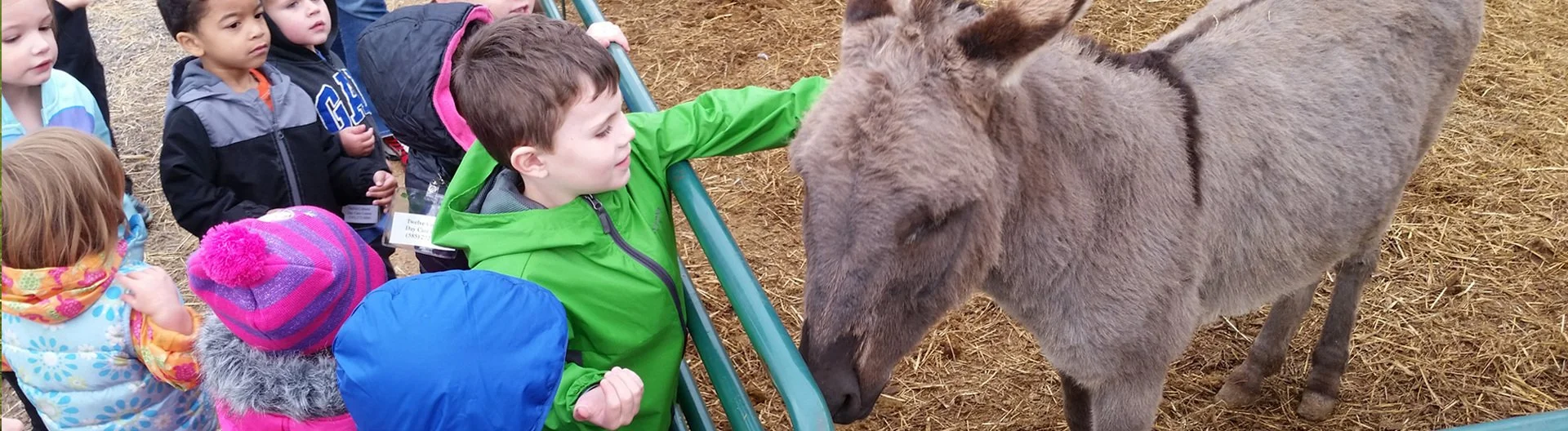 pettingzoo.jpg