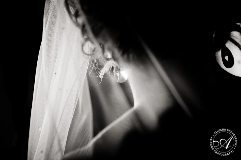 allegro-photography-web-cj-039.jpg