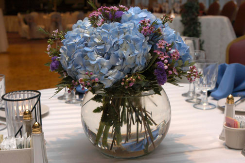 1blue-hydrangea.jpg