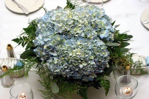 2blue-hydrangea2.jpg
