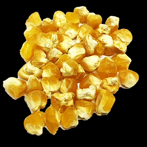 Marelli.png