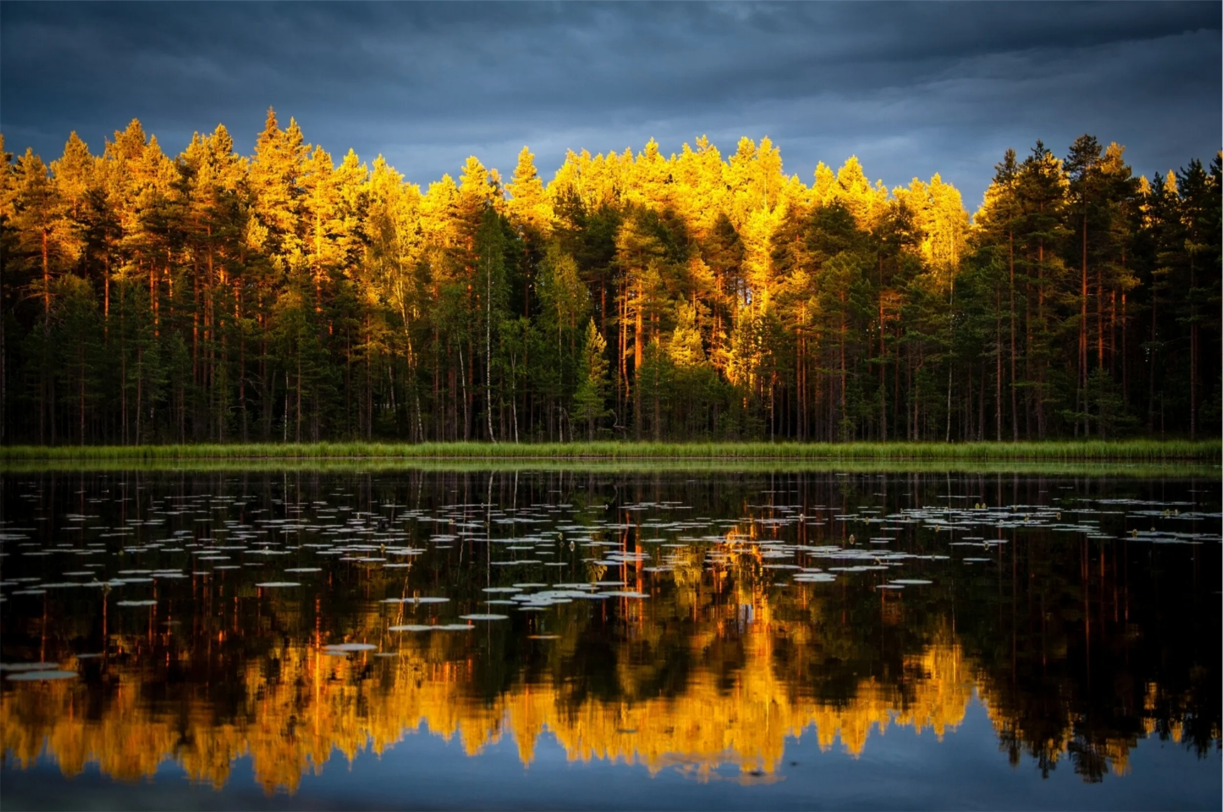 StockSnap_780A5067C9_höst_skog_sjö.jpg