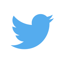 twitter logo.png